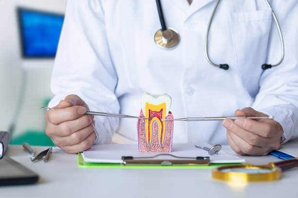 Best Weekend Emergency Dentist in Waynesville, MO